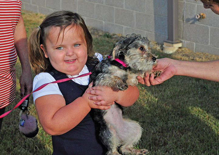 10-3 Animal blessing 9.jpg